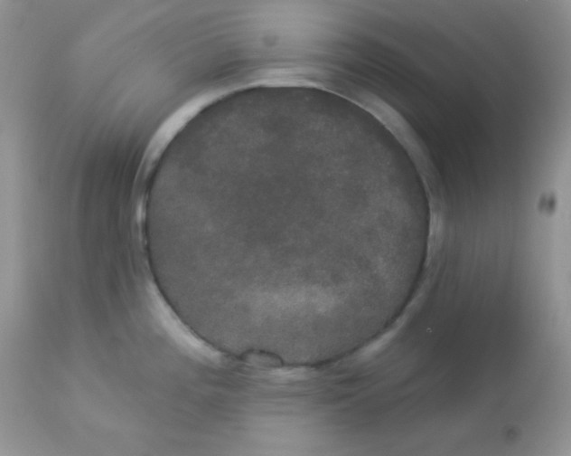 X0000113081196200909182042