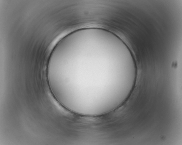 X0000113081197200909182042