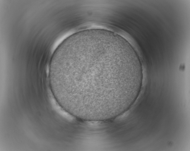 X0000113081198200909182041