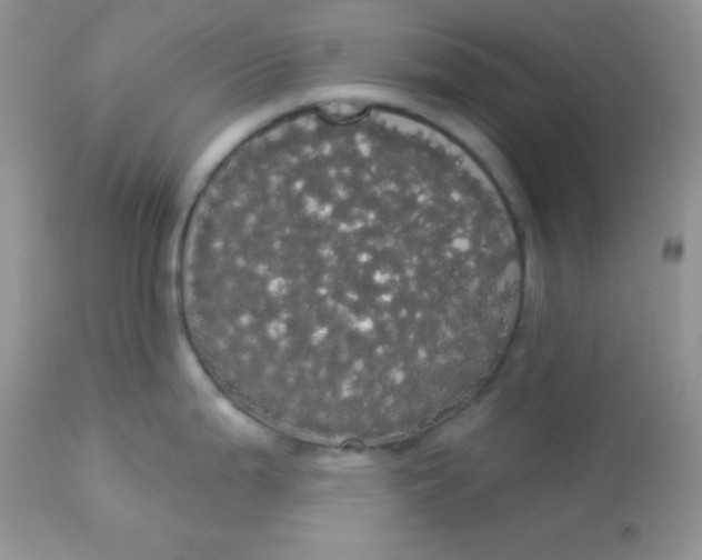 X0000113081199200909182041