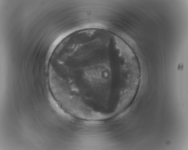 X0000113081200200909182041