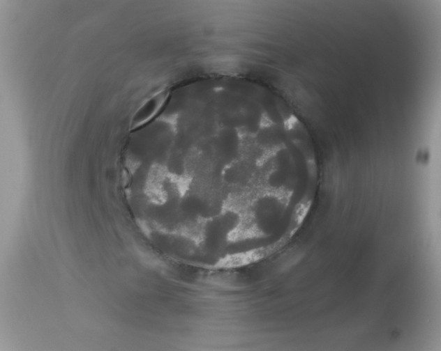 X0000113081201200909182040