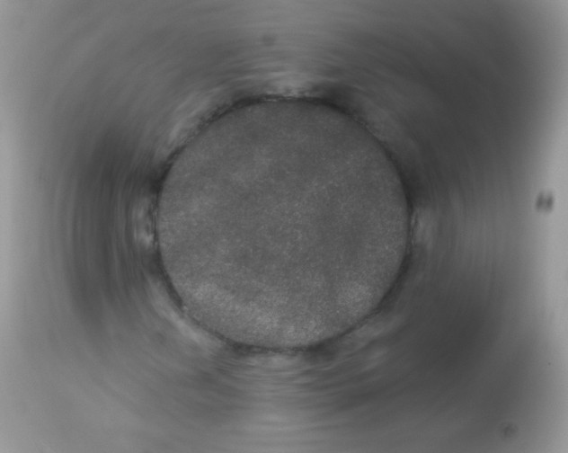 X0000113081202200909182041