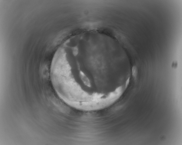 X0000113081203200909182041