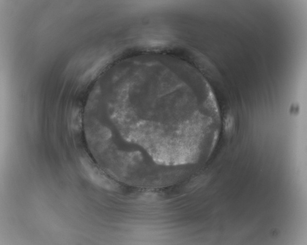 X0000113081204200909182041