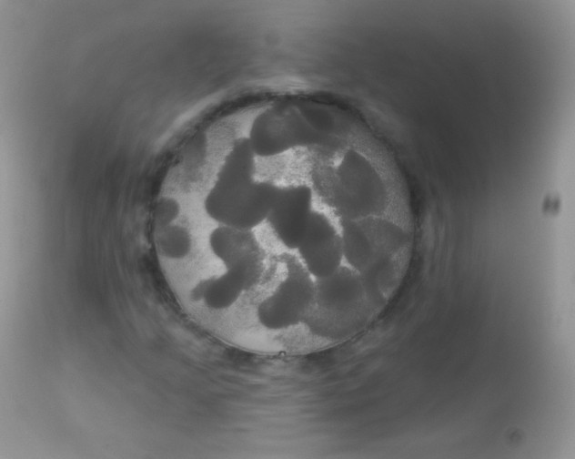 X0000113081205200909182041