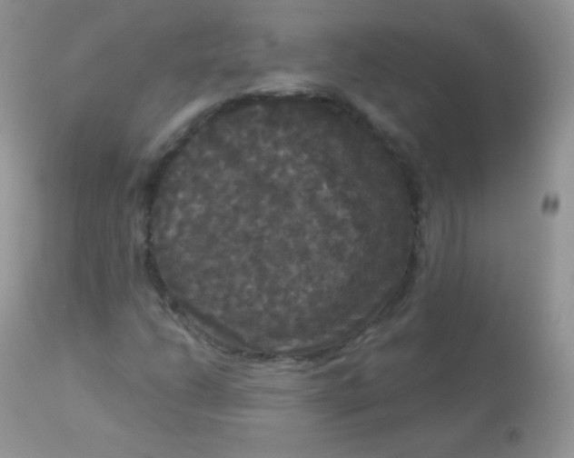 X0000113081206200909182041