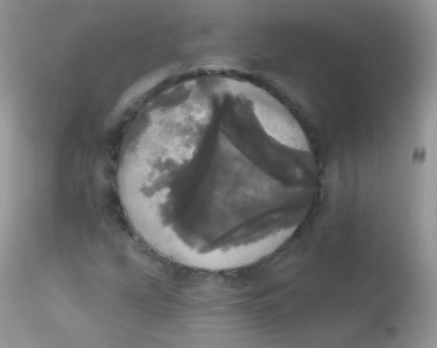 X0000113081207200909182041