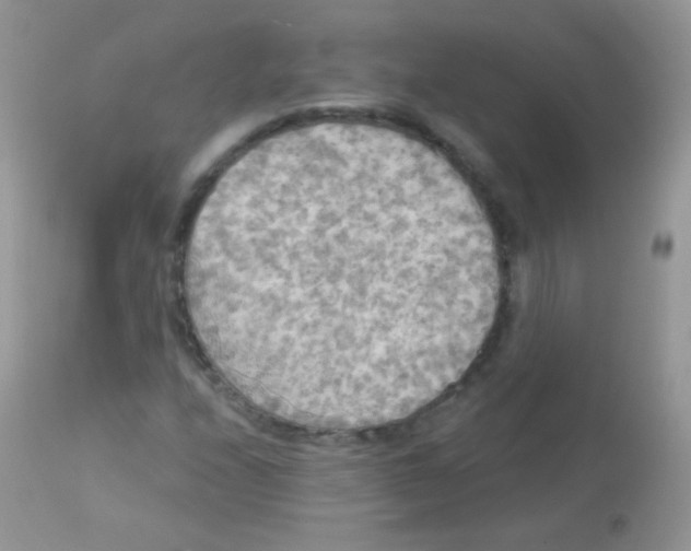 X0000113081208200909182041