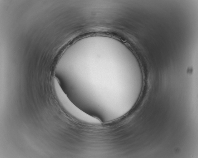 X0000113081209200909182041