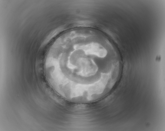 X0000113081211200909182041