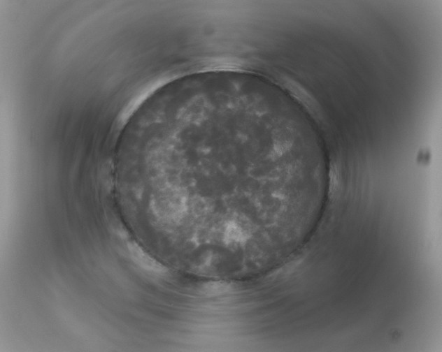 X0000113081212200909182041