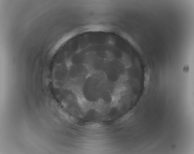 X0000113081213200909182041