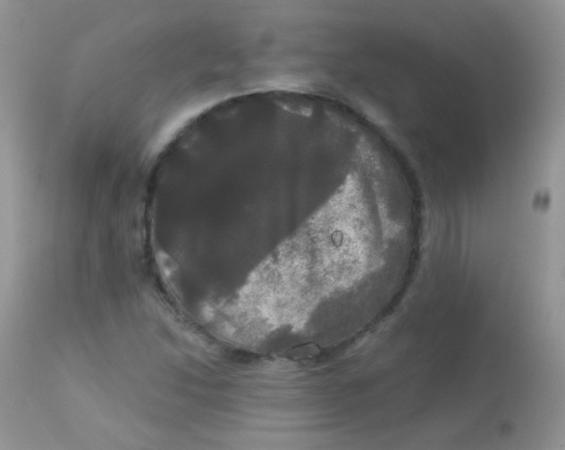 X0000113081214200909182041