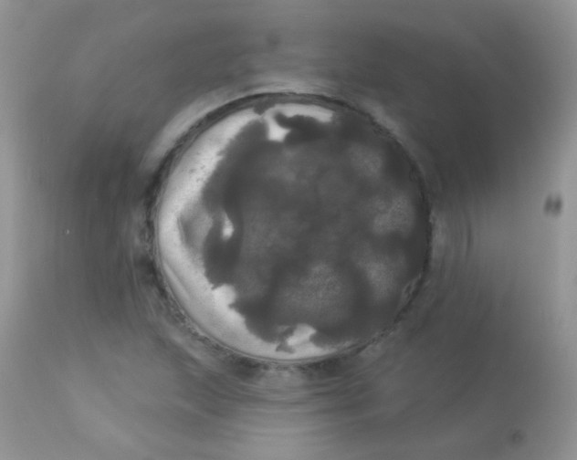 X0000113081215200909182041