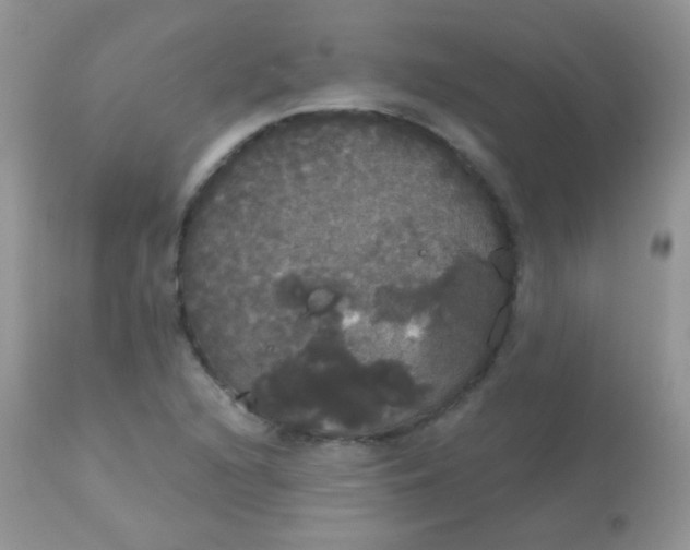 X0000113081216200909182041