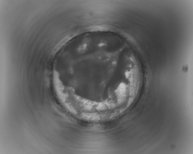 X0000113081217200909182041