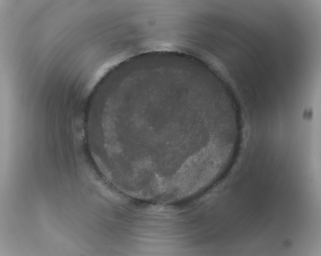 X0000113081218200909182041