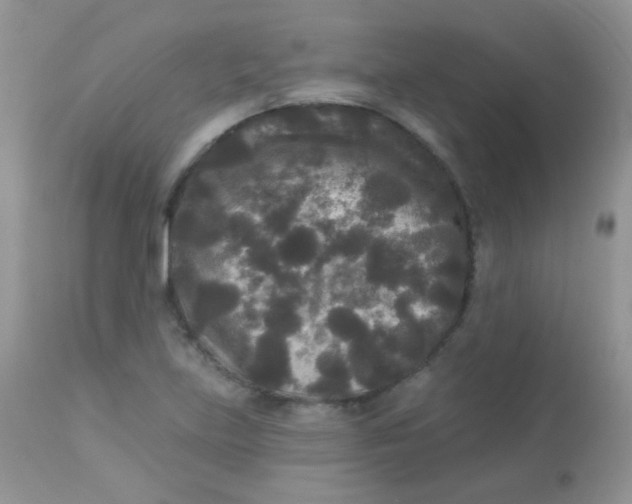 X0000113081219200909182041