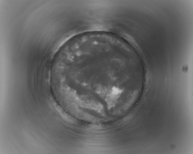 X0000113081220200909182041