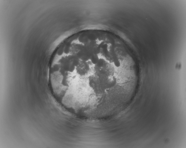 X0000113081221200909182041