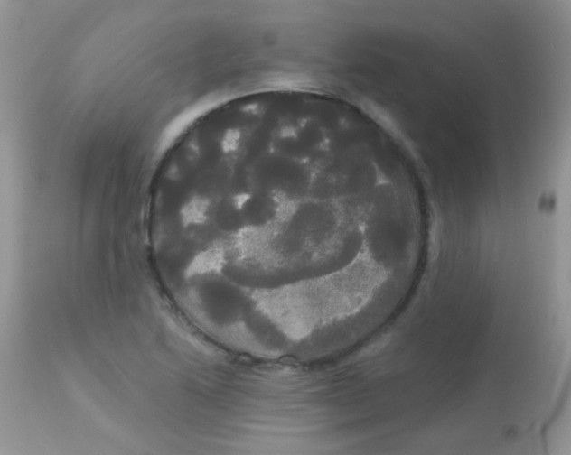 X0000113081222200909182041