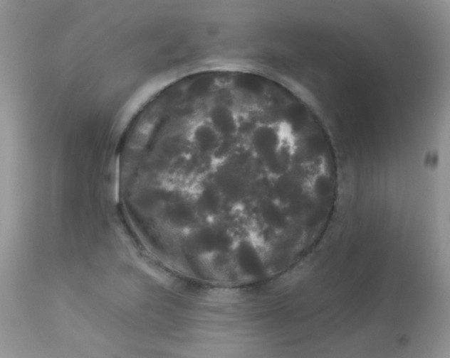 X0000113081223200909182041