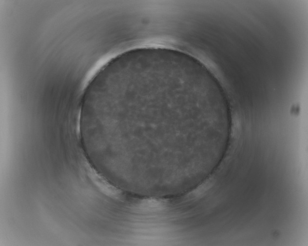 X0000113081224200909182041