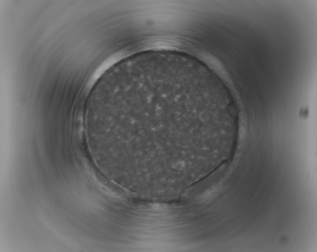 X0000113081226200909182041