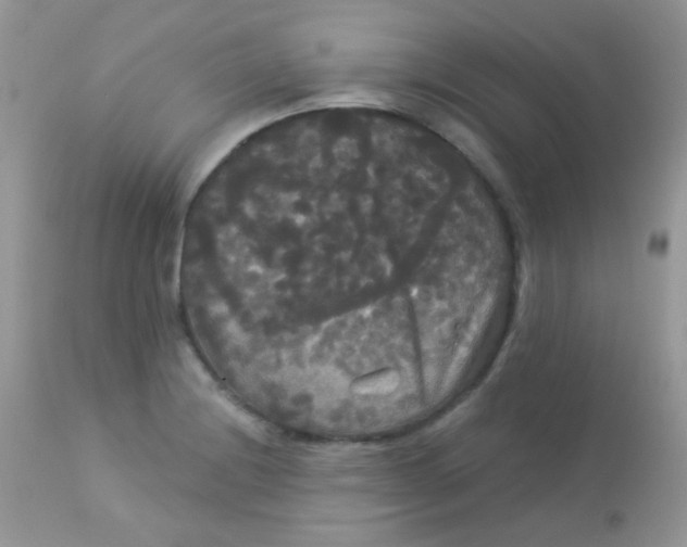 X0000113081228200909182041