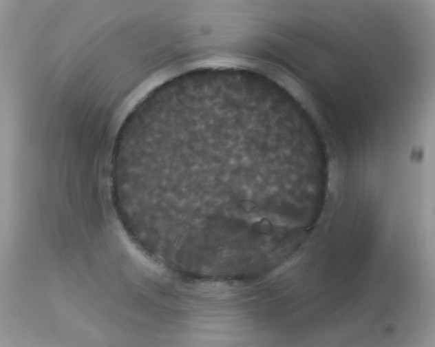 X0000113081229200909182041