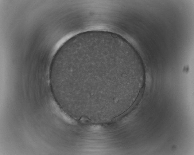 X0000113081230200909182041