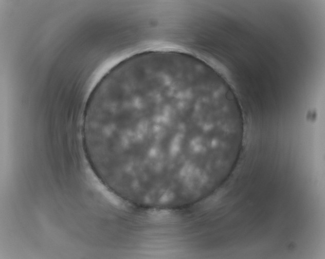 X0000113081231200909182041