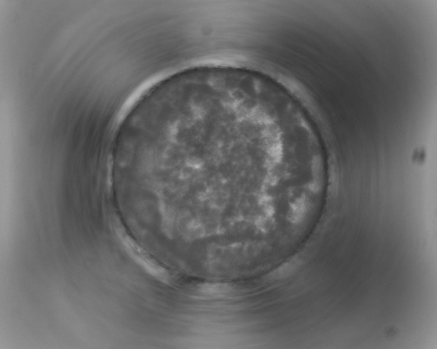 X0000113081232200909182041