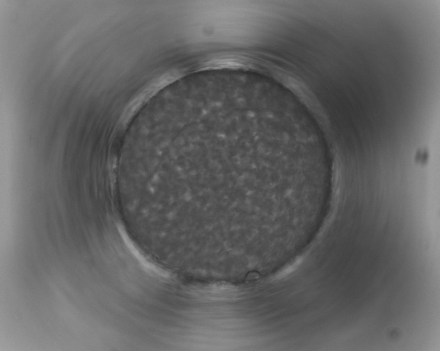 X0000113081233200909182041