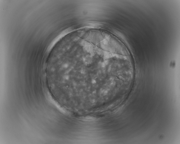 X0000113081235200909182041