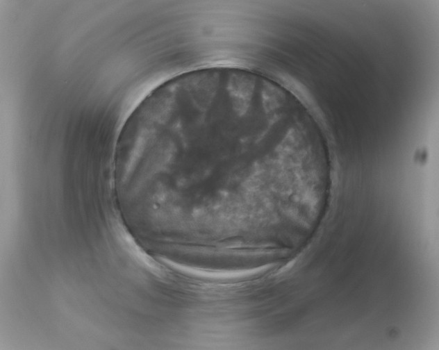 X0000113081236200909182041