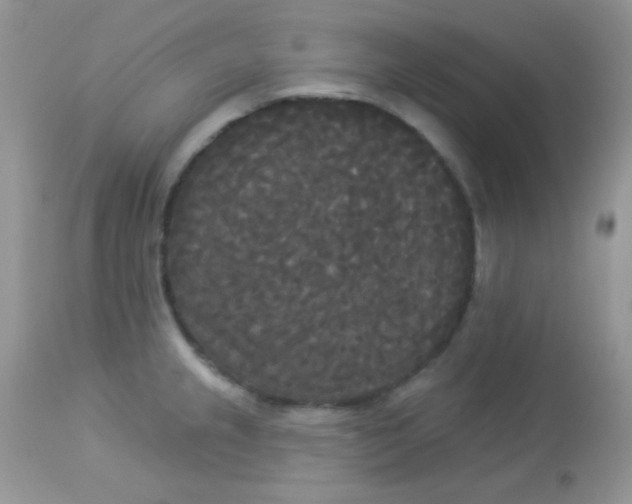 X0000113081237200909182041