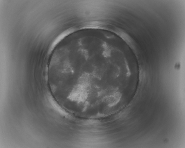 X0000113081238200909182041