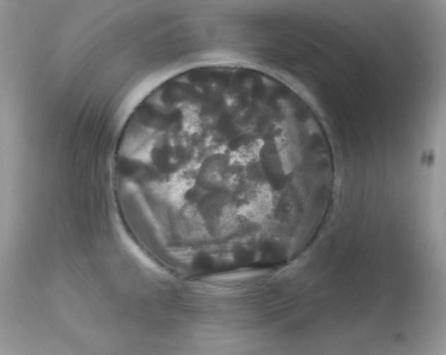 X0000113081239200909182041