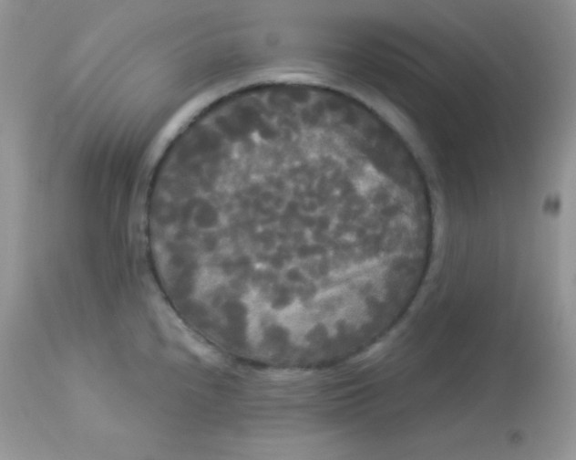 X0000113081240200909182041