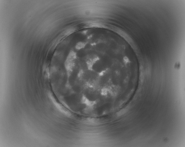 X0000113081241200909182041