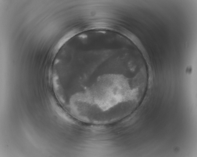 X0000113081242200909182041