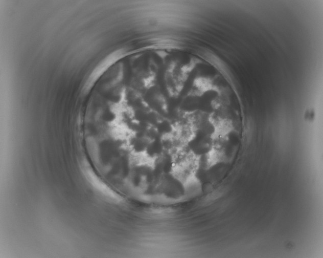 X0000113081243200909182041