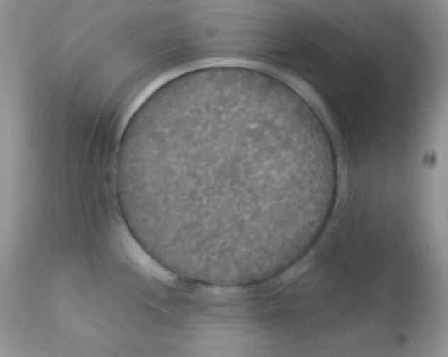 X0000113081244200909182041