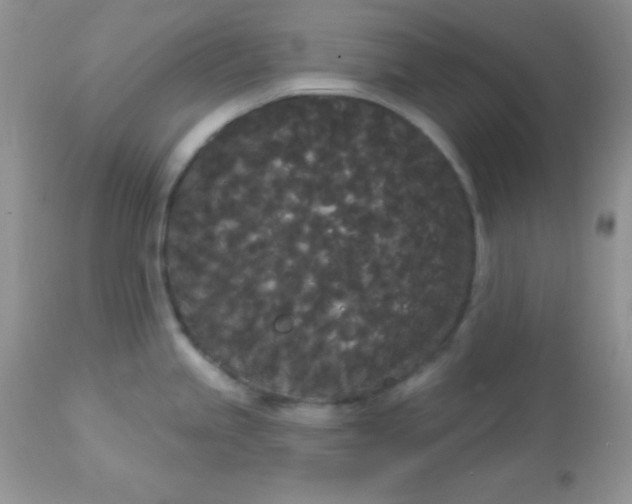 X0000113081245200909182041