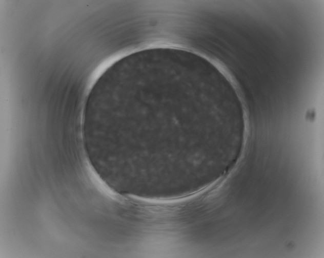 X0000113081246200909182041