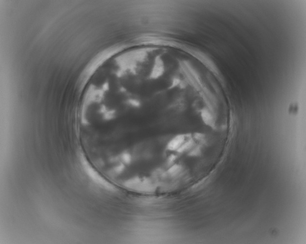 X0000113081247200909182041