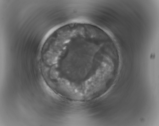 X0000113081248200909182041