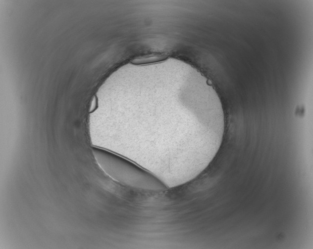 X0000113081249200909182040